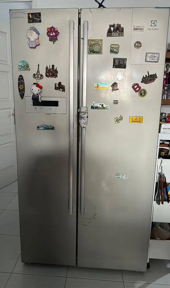 Kulkas Electrolux ESE5300PD-VN