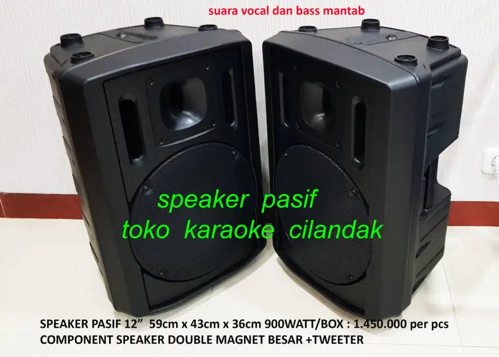 sepasang speaker pasif 12 inch