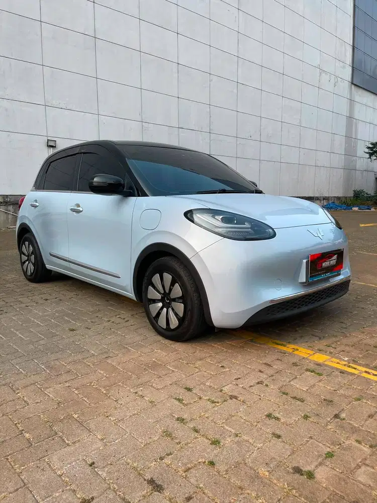 Wuling Binguo EV Premium Range 410km 2024