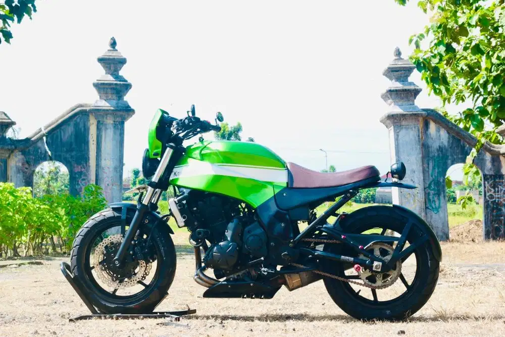 Kawasaki ER6 Custom Rapi, versys 250, KTM Duke 390