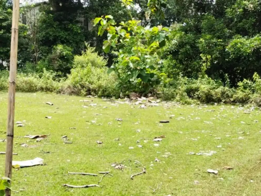 TANAH DEKAT PANTAI BALANGAN DI JIMBARAN BADUNG, BALI