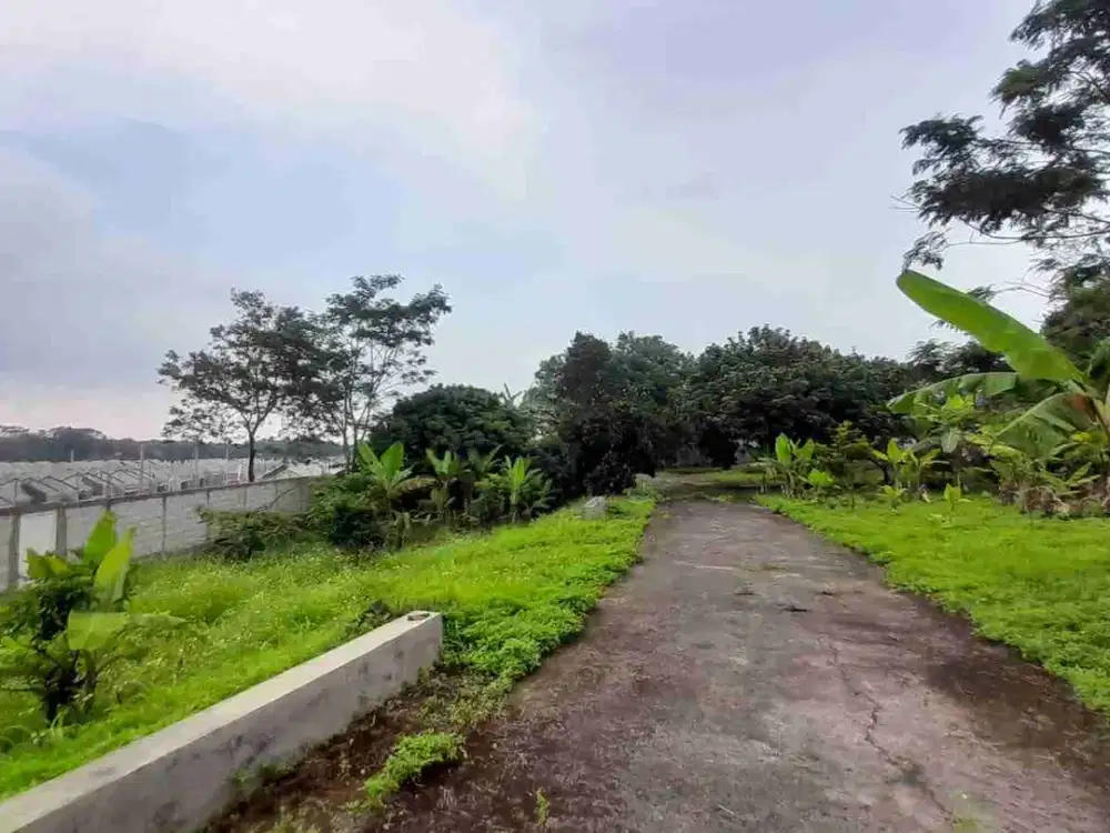 Kavling 1 Hektar di Pinggir Jalan Raya Cipeucang Kubang!
