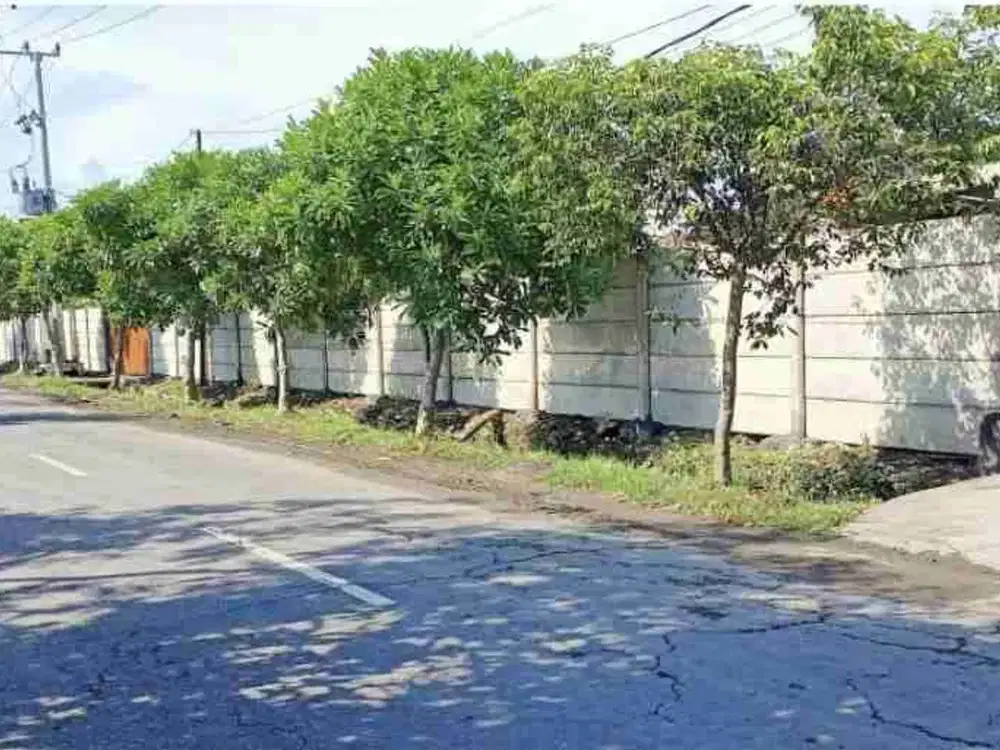 Jual Tanah Kavling Denpasar, Nol Jalan Raya, cocok utk dibangun komplek ruko ato perumahan