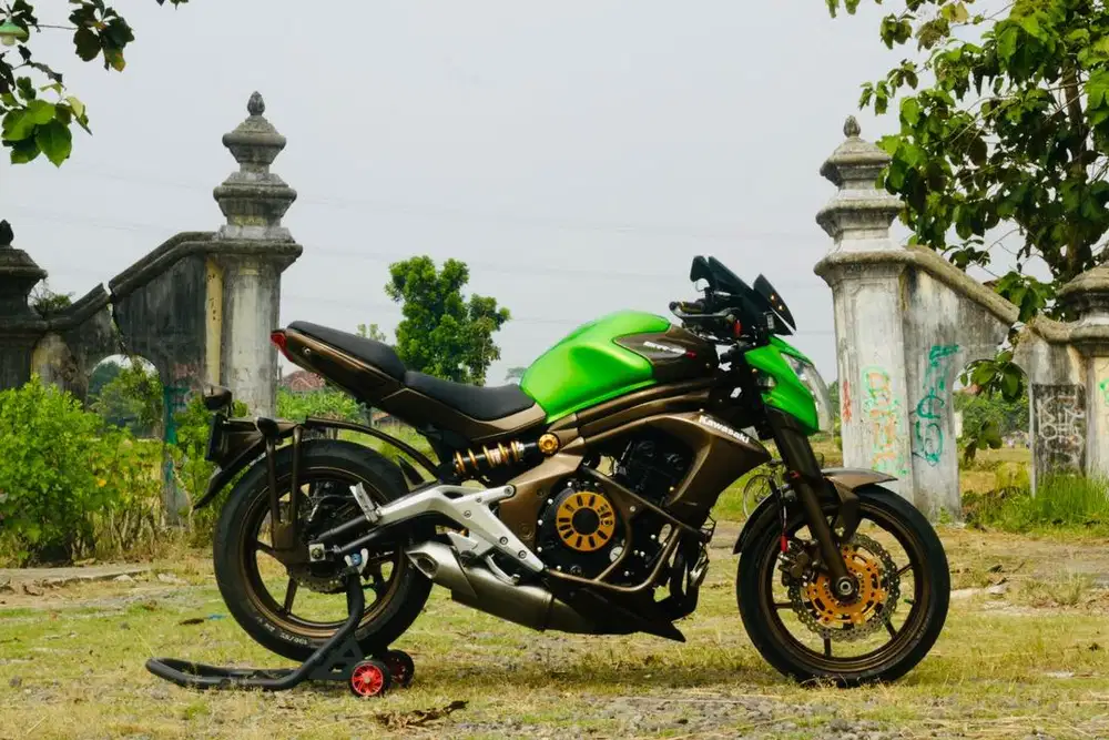 Kawasaki ER6n, ZX25R, Benelli BN600, KTM Duke 390