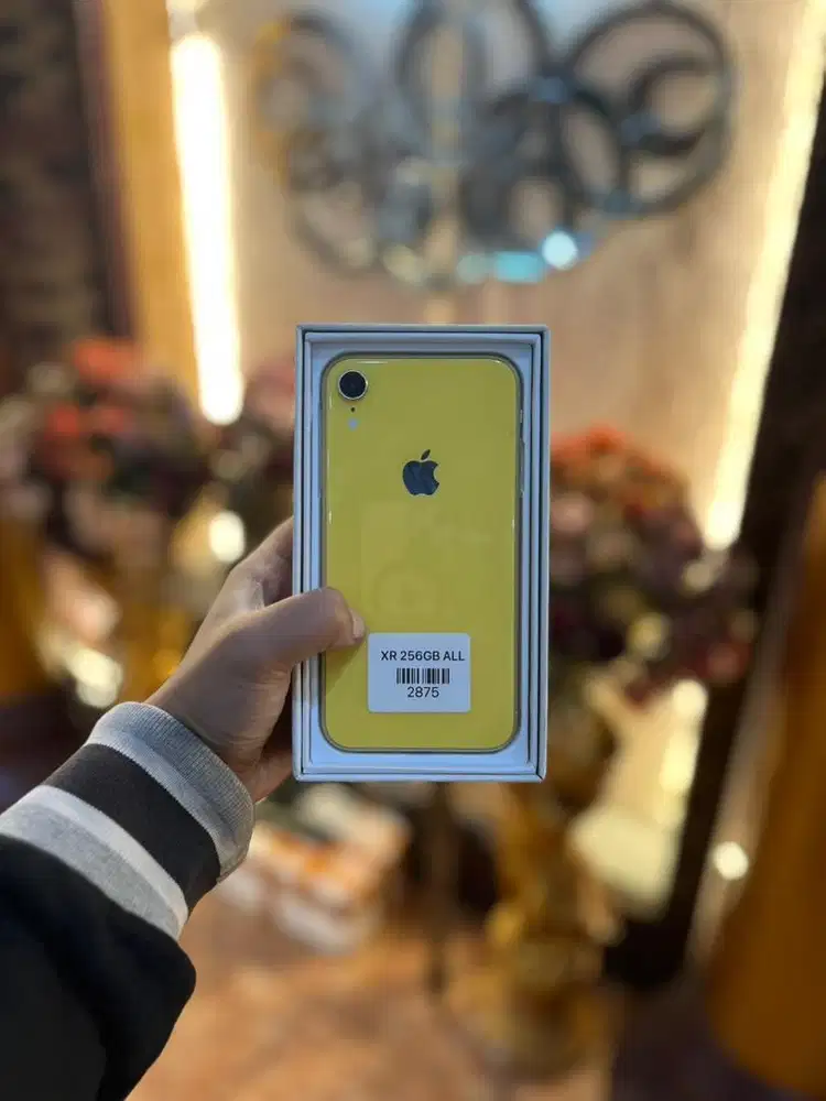Iphone Xr 256 Gb Inter All Operator
