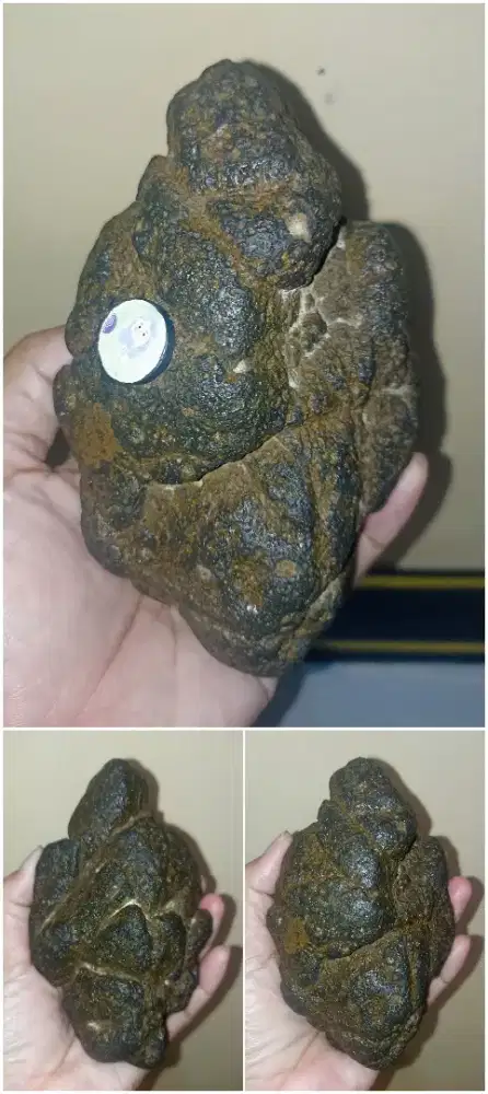 Hematit Botrioidal (BADAR BESI Seiseki)