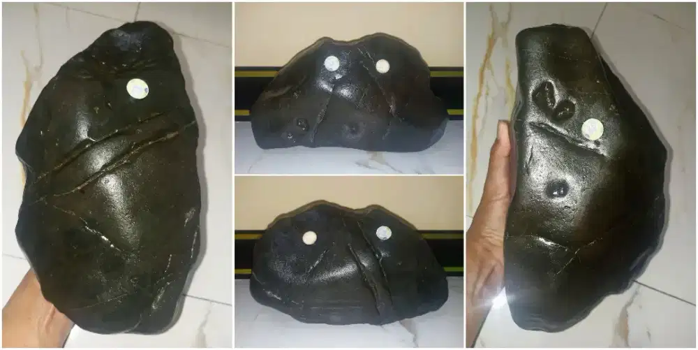 Bahanan BADAR BESI Hitam Jumbo (Kulit Halus)