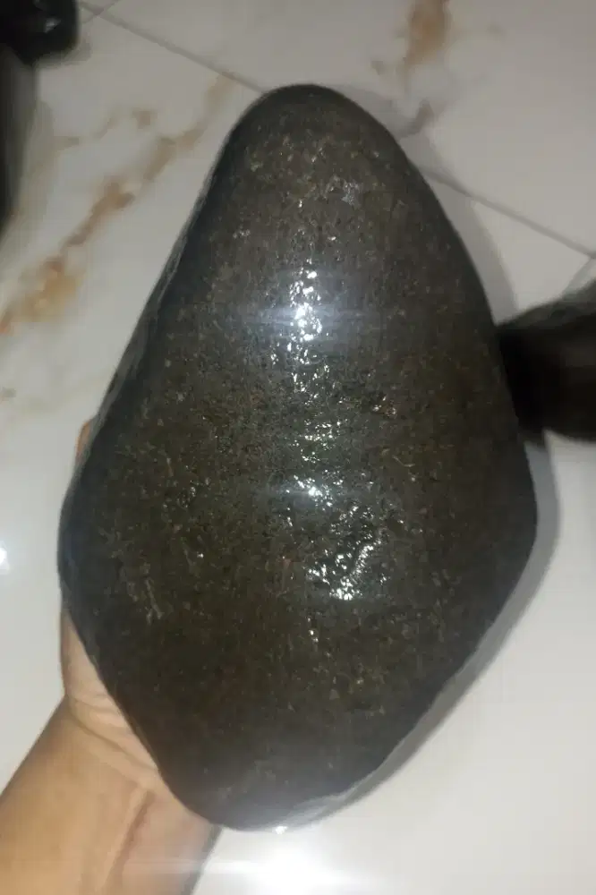 Bahan Tunggalan BADAR BESI Hitam Jumbo