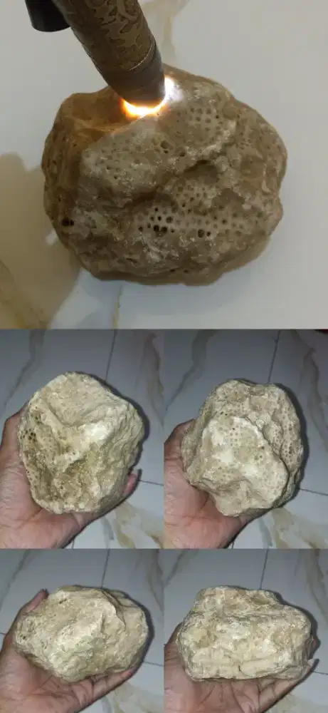 Bahanan Saramg Semut