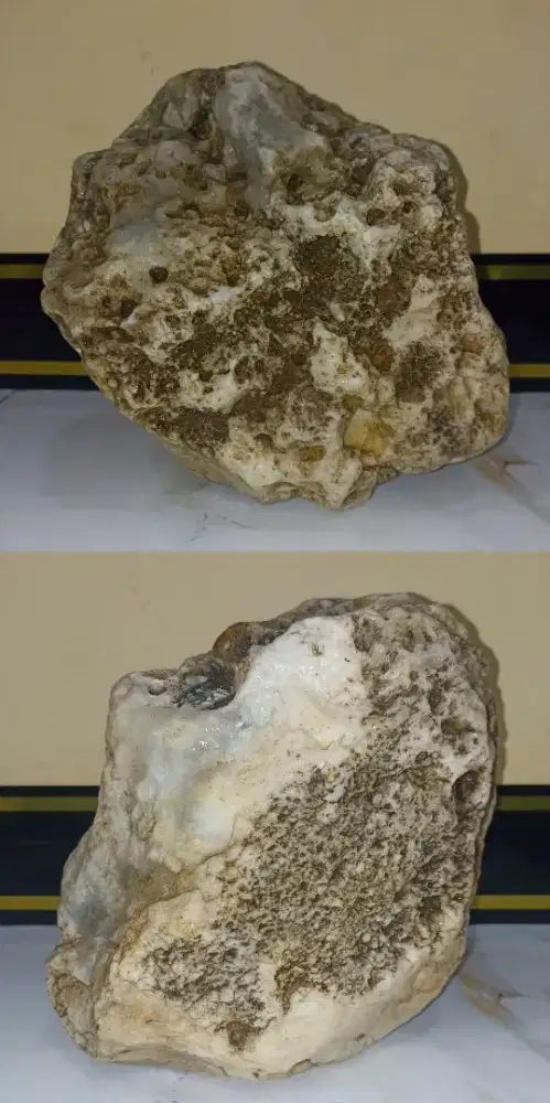 Bahanan Jumbo ±6-7Kg