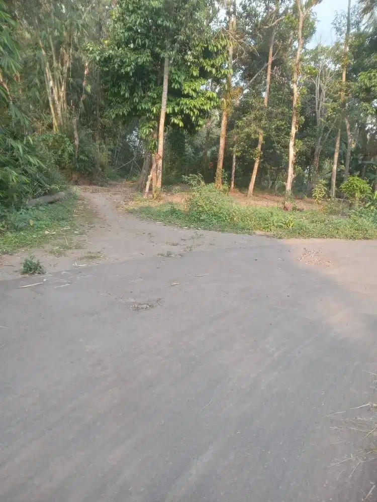 Dijual tanah pinggir jalan