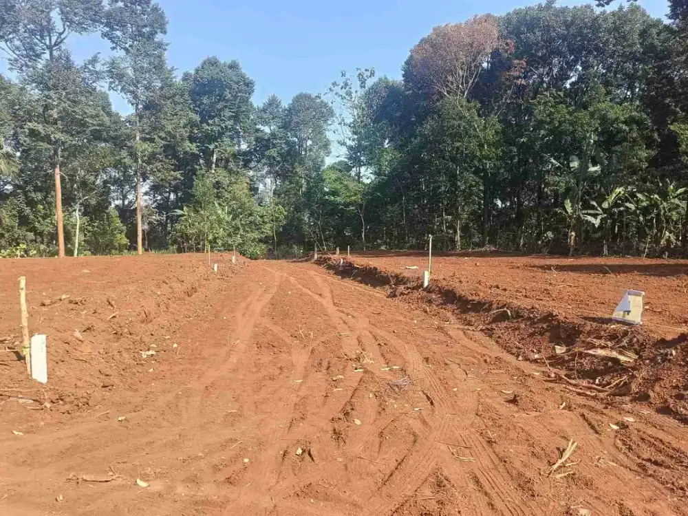 tanah bagus area kampus di gunungpati semarang