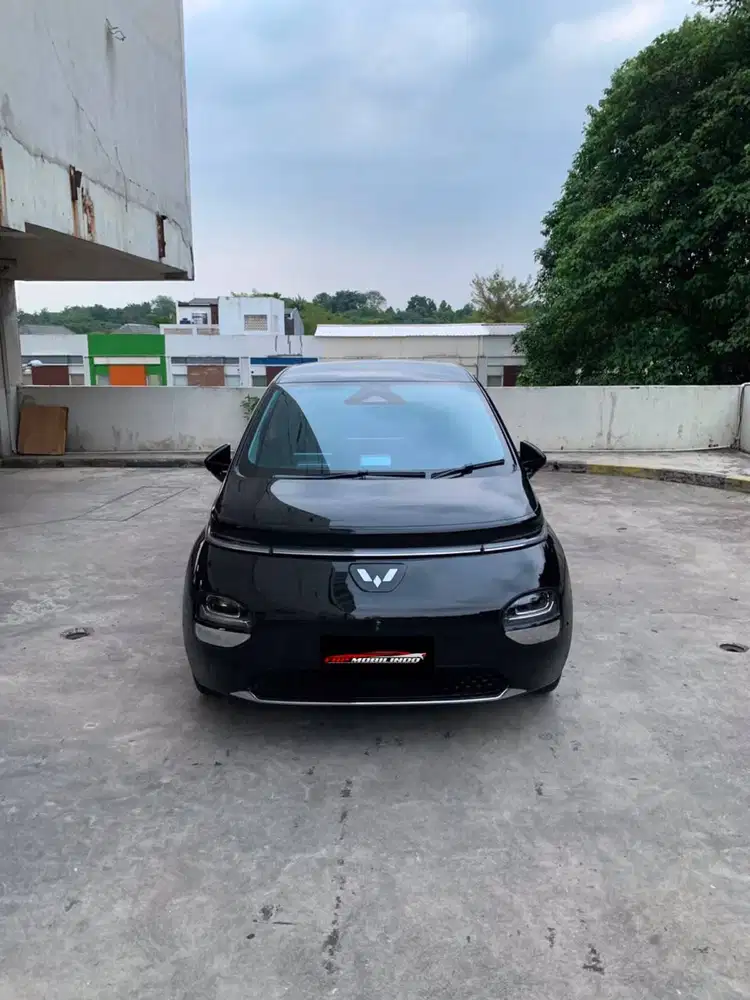 Wuling Cloud EV PRO 460km 2024
