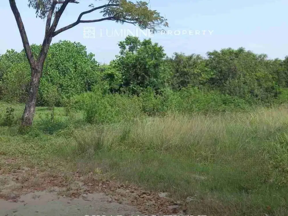 DIJUAL KAVLING LOKASI BAGUS DI CIKARANG