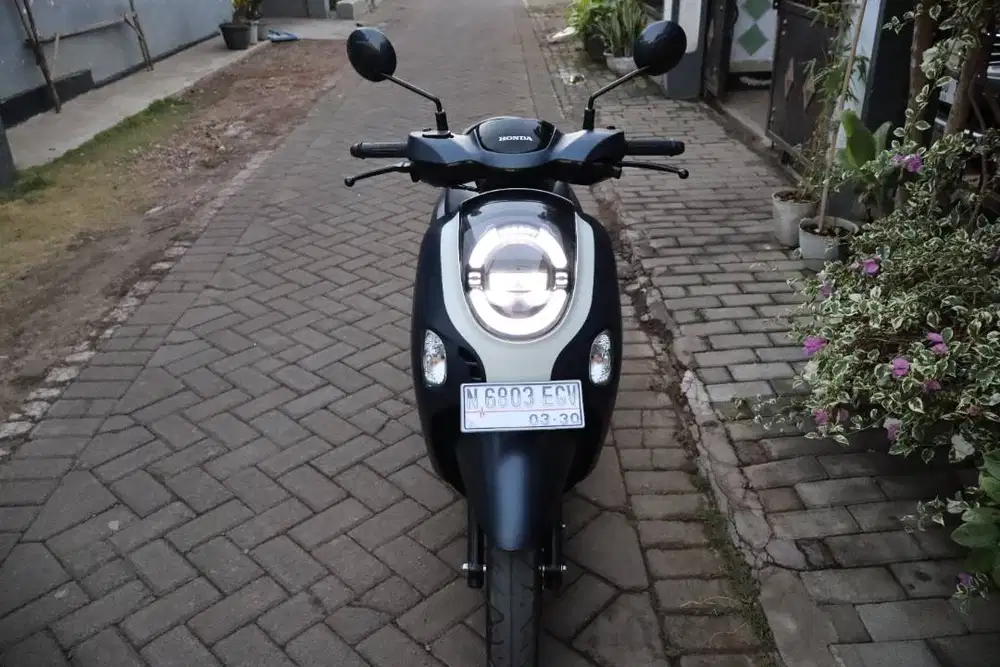 Scoopy blue matte