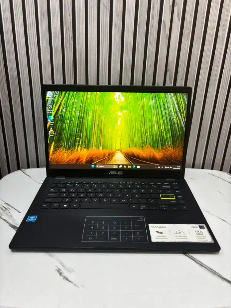 Asus vivobook E410M