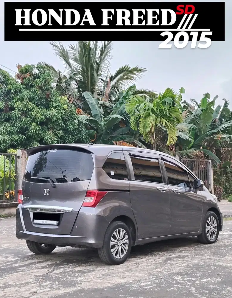 FREED SD AUTOMATIC 2015