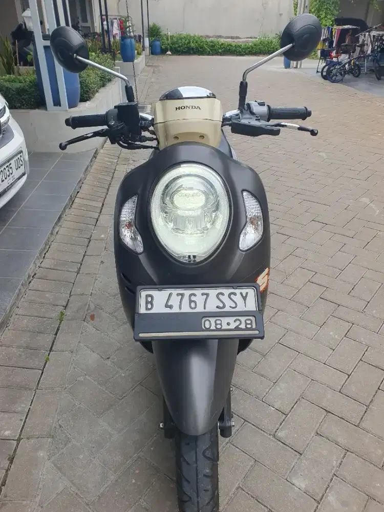 Scoopy Fashion Brown 2023