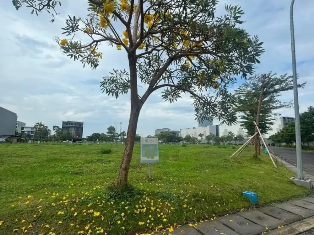 JUAL TERMURAH! Tanah kavling pantai indah kapuk 2
