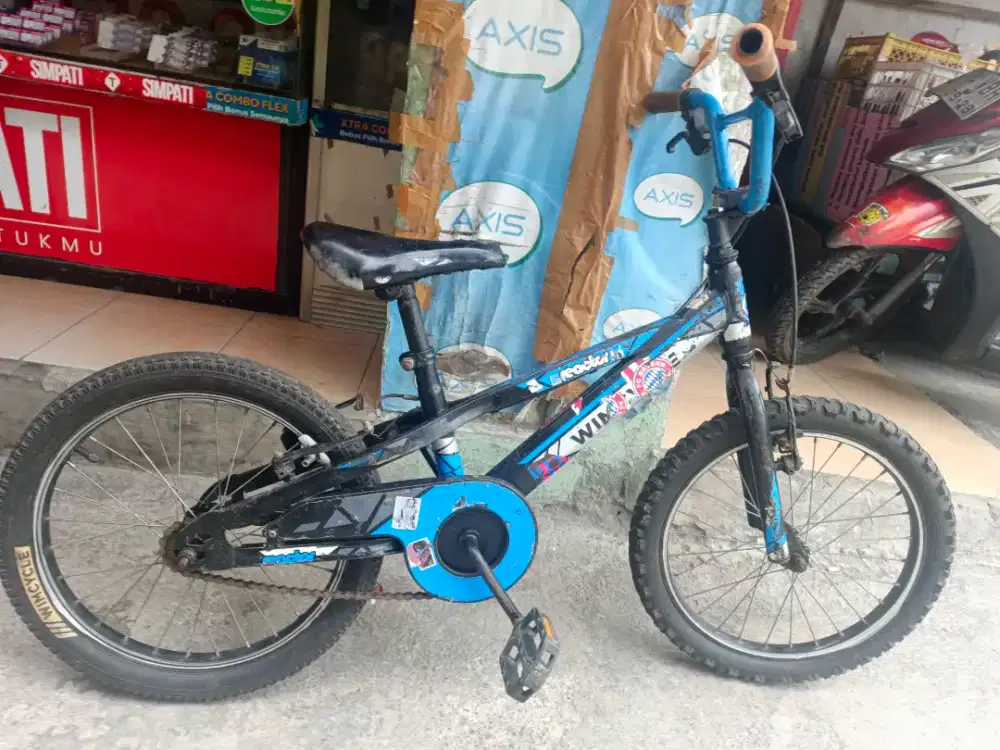 Sepeda ukuran 18