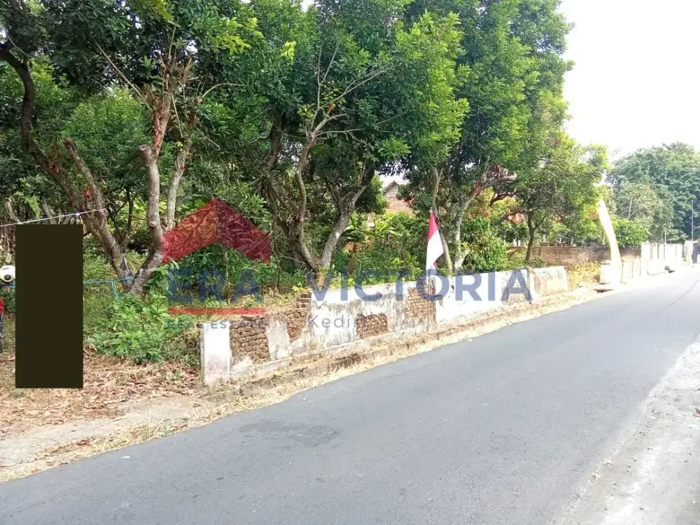 Tanah di Ds Ngadiluwih 5 Menit ke Kantor Desa, Kecamatan, Rumah Sakit, Puskesmas, Sekolah, Stasiun Ngadiluwih dan Pasar