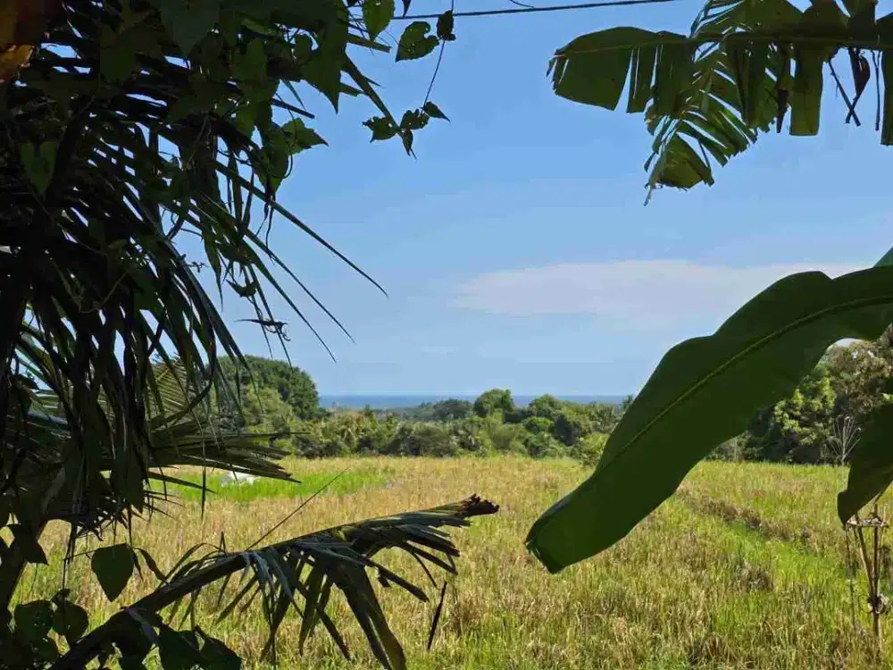 Tanah kecil di jual zona kuning view laut dan sawah terasering di tabanan bali
