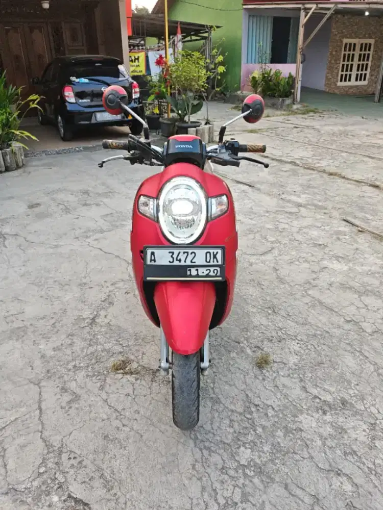 Honda. Scoppy 2019