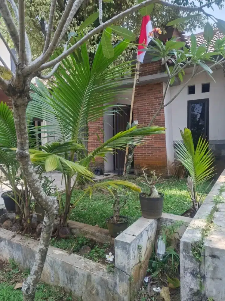Rumah nyaman harga aman