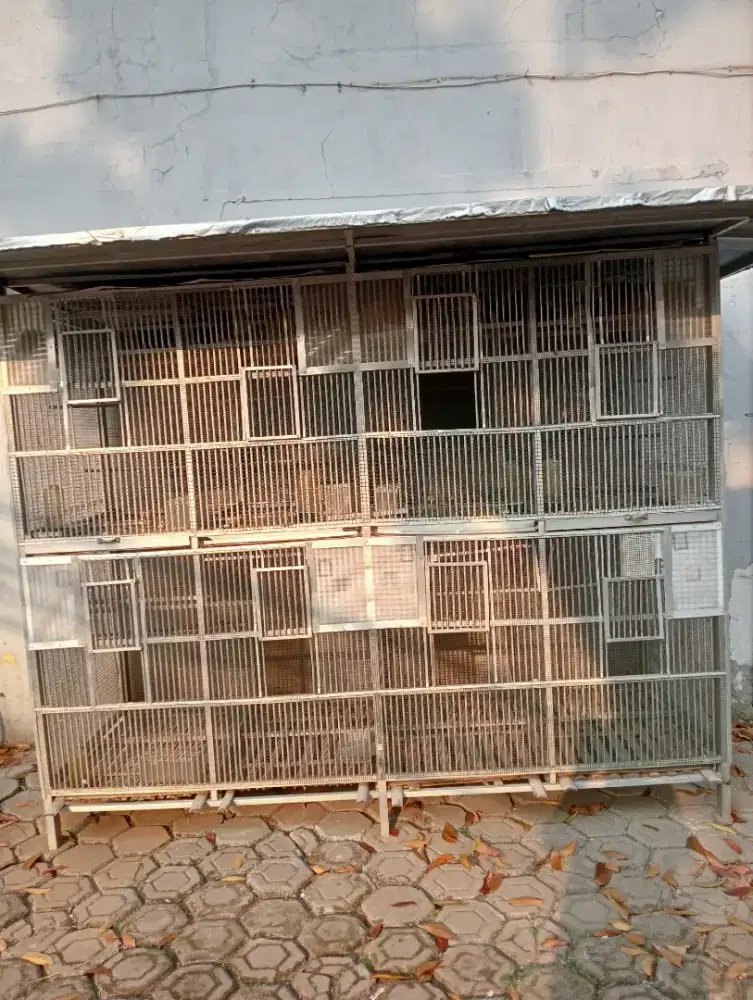 Kandang ternak buat segala jenis burung