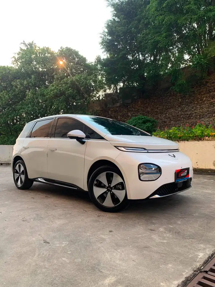 CLOUD EV PRO 460KM 460KM