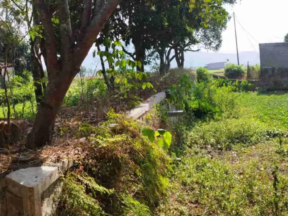 DIJUAL TANAH DI CIDAWOLONG – CANGKUANG, BANDUNG