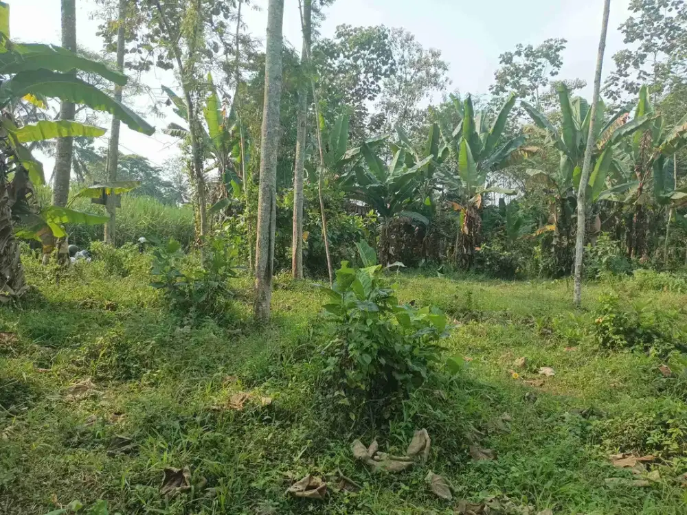 Tanah Pakis Dijual
