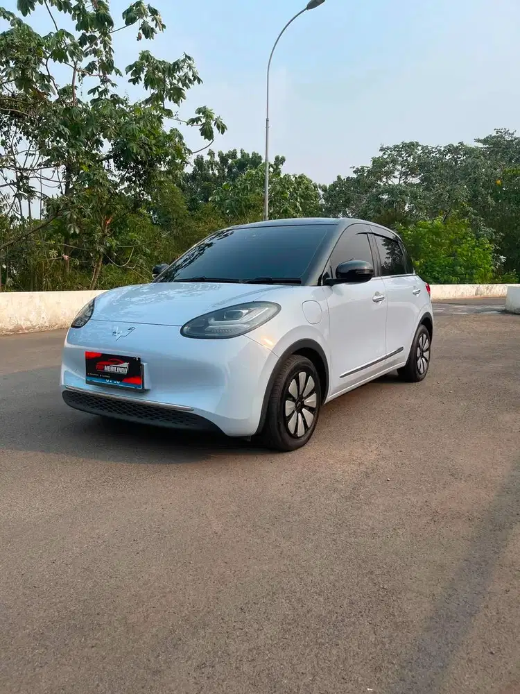 BINGUO EV PREMIUM RANGE 410KM 2024