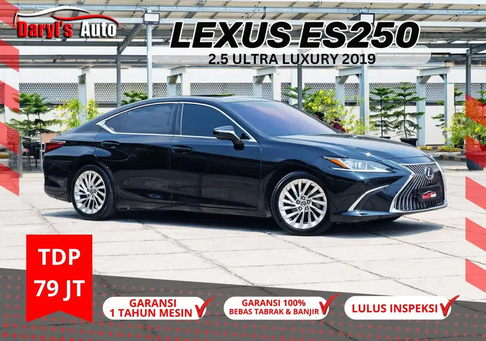 2019 Lexus ES250 Ultra Luxury Perfect Condition tdp 79jt