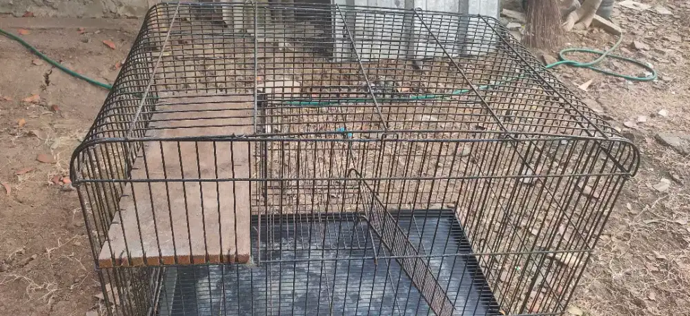 Kandang kucing besi tebal Tingkat. Kokoh +Roda