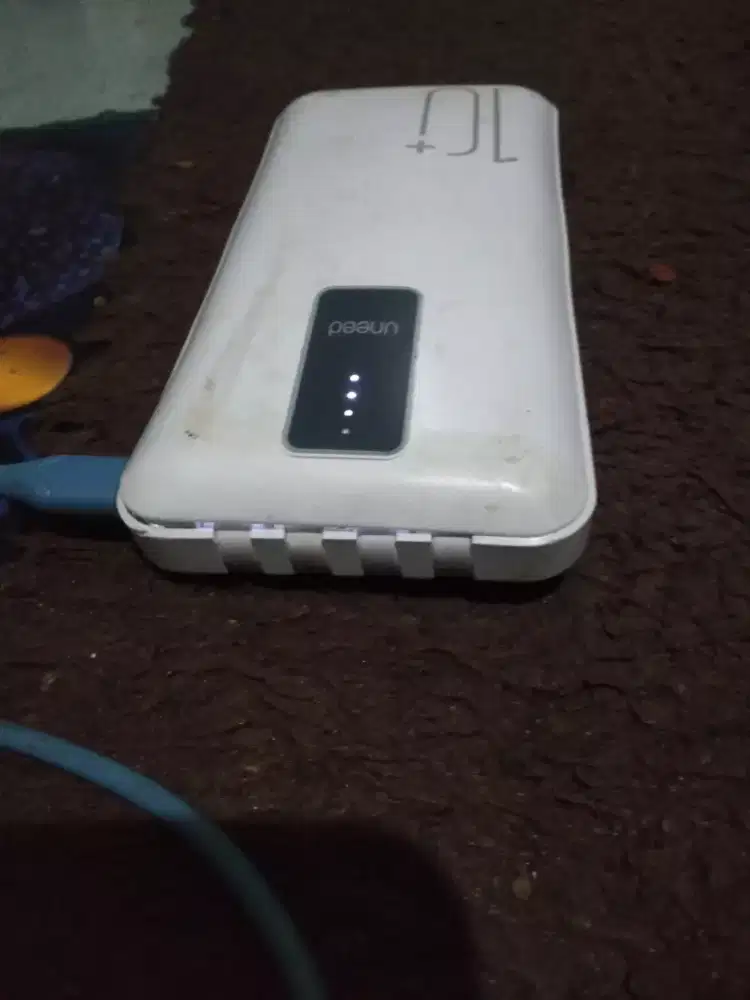 Powerbank na mangga