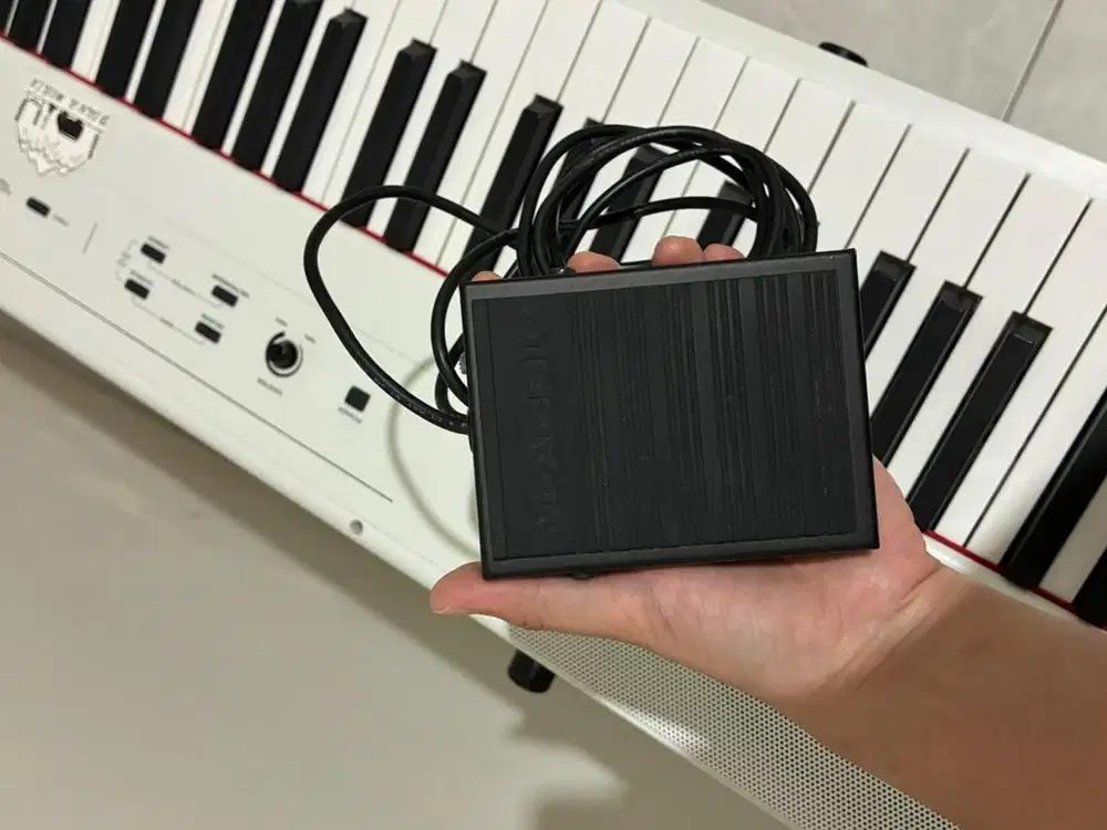 Digital Piano Alesis