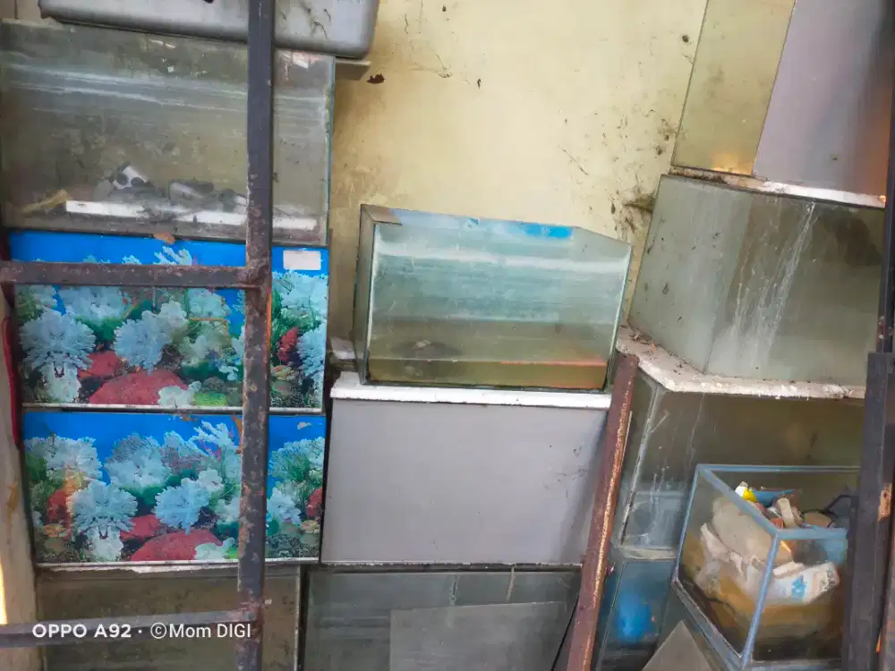 Jual Akuarium Bekas