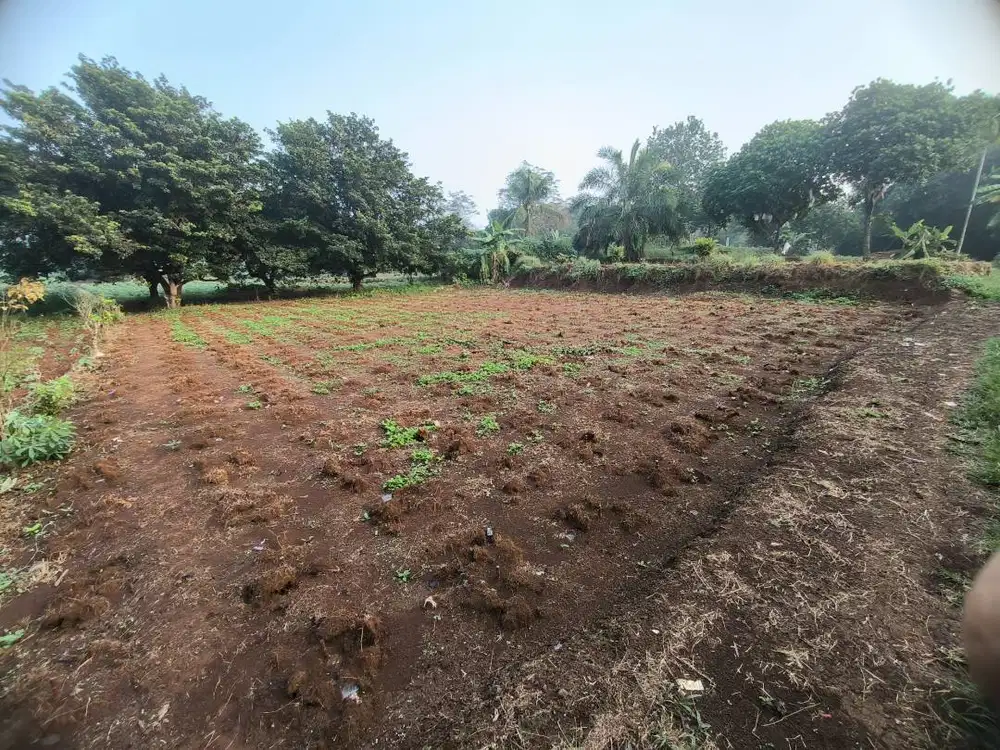 Dijual Tanah 600 m2 Bilabong Cimanggis Kabupaten Bogor
