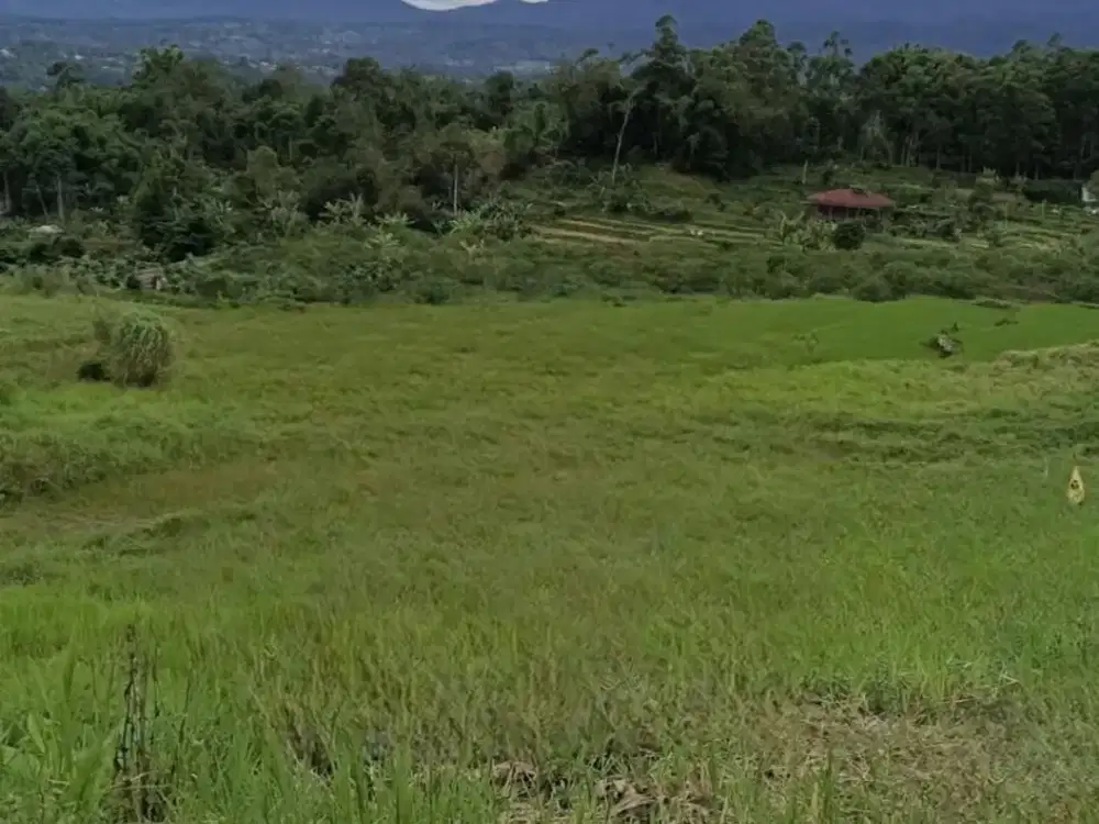 Dijual Tanah di Ciwidey Bandung, Luas Strategis Dekat Kawasan Wisata