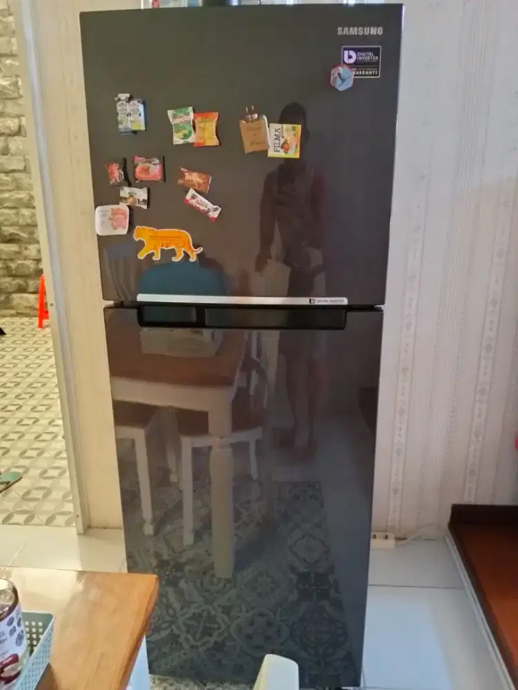 Kulkas Samsung Digital Inverter 2 pintu