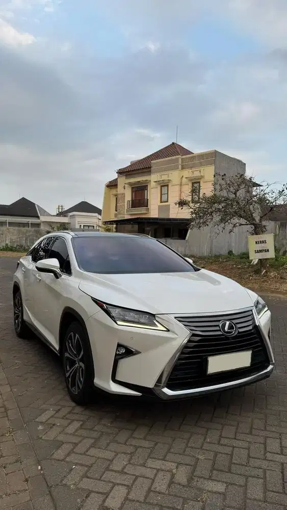 Lexus RX 300 Luxury 2019 Istimewa