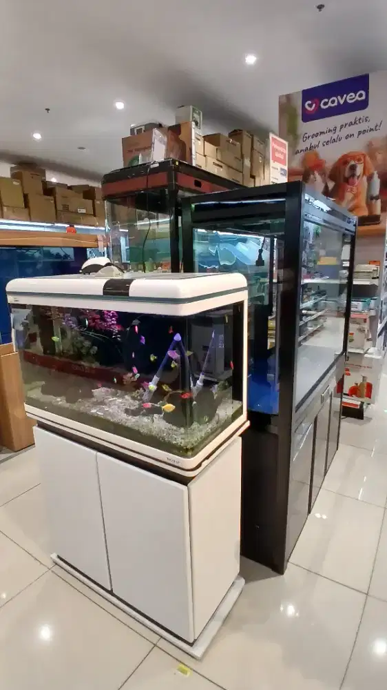 Kredit aquarium pakai home kredit bunga 0% dp 0%