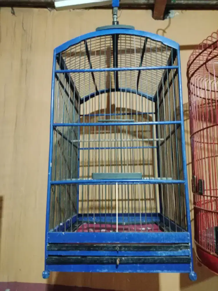 Jual 3 sangkar masih bagus