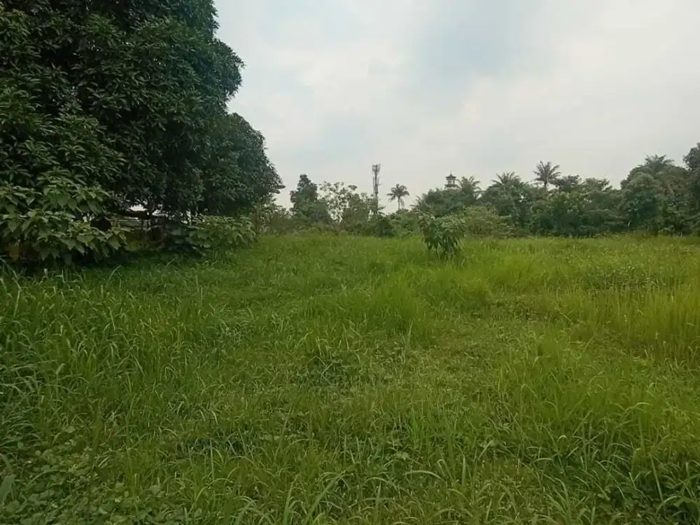 Jual tanah di tepi jalan raya utama di Ciangsana gunung putri Bogor