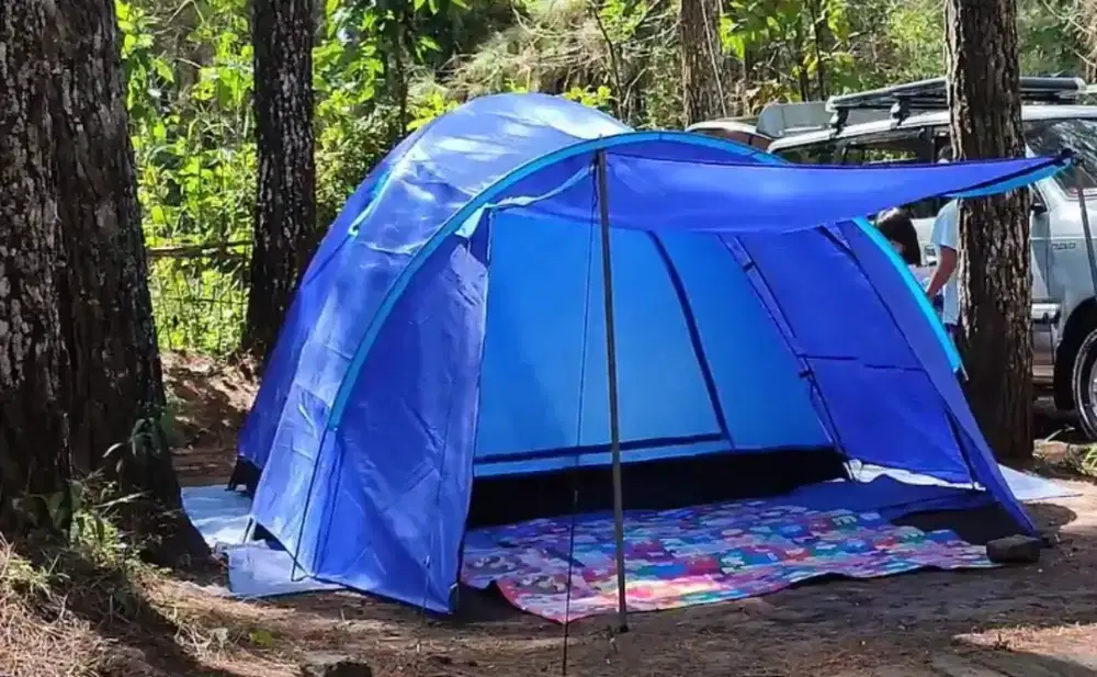 Tenda Forester Enigma 6