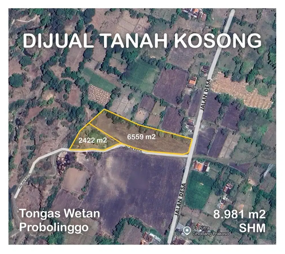 DIJUAL TANAH 8.981 m2 Tongas Wetan Probolinggo