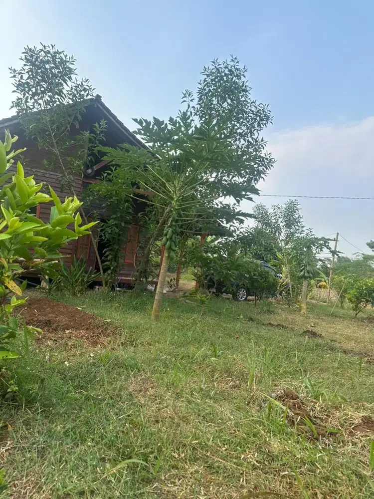 Loker Wanita Beberes Rumah & Kebun Menginap