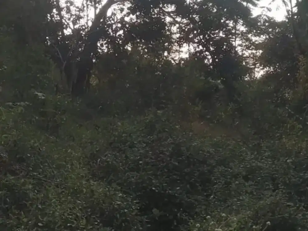 JUAL TANAH, SOREANG KAB. BANDUNG