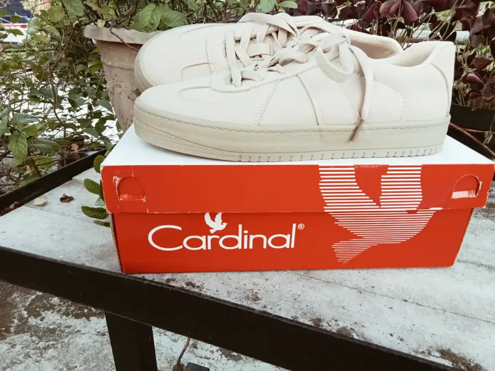 Sepatu cewek cardinal